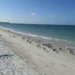 article image -